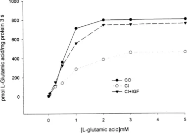 Fig. 2. L -Glutamic acid uptake into BBMVs from CO (closed circles), CI (open circles), and CI ⫹ IGF (closed triangles) rats