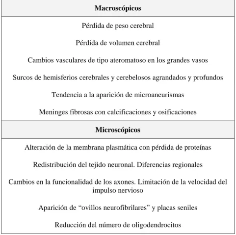 Tabla 1. Cambios en el SNC con el envejecimiento 