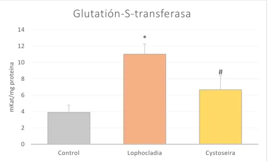 Figura 6. Actividad enzimática de la enzima GST en los grupos control lophocladia y cystoseira
