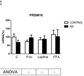 Figura  2.  Representación  gráfica  de  los  niveles  de mRNA de UCP1 (A), HOXC9 (B) y PRDM16 (C),  analizados por RT-qPCR y expresados en forma  de  porcentaje  (%)  (Con  respecto  al  grupo  control,  que  es  el  100%)