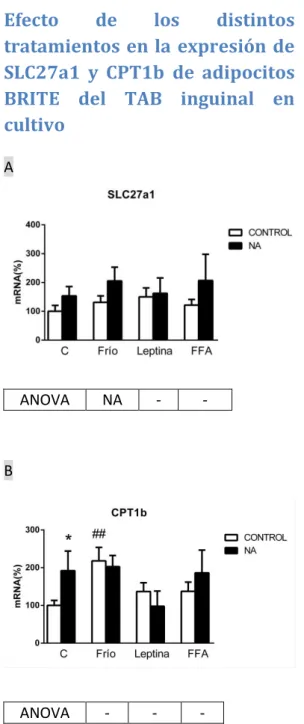 Figura  4.  Representación  gráfica  de  los  niveles  de  mRNA  de  SLC27a1  (A)  y  CPT1b  (B)