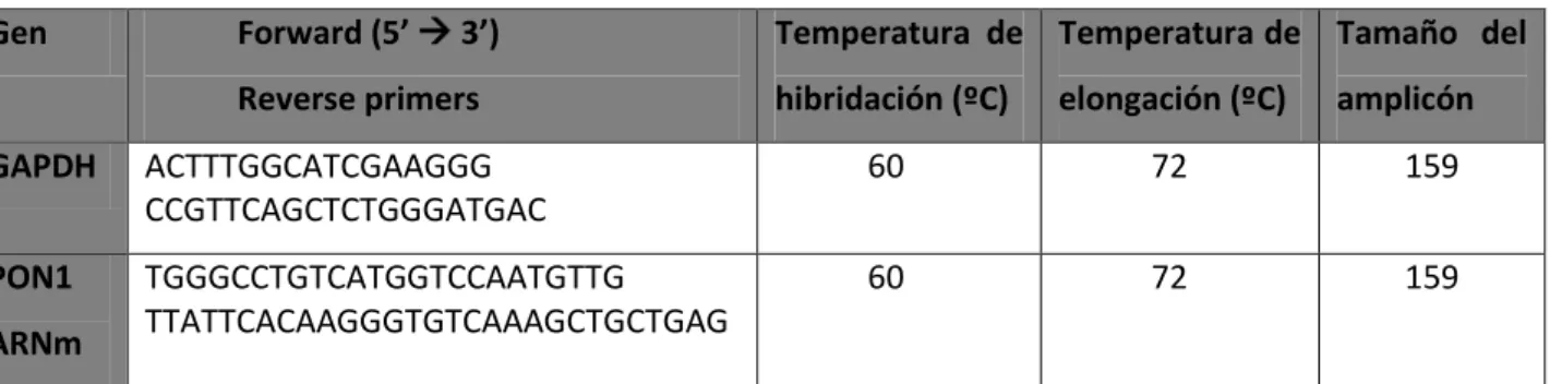 Tabla 3. Primers y temperaturas utilizadas en la RT-PCR a tiempo real. 