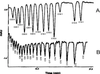 Figure 3. (A) Electropherogram of saturated and unsatu- unsatu-rated FFAs (C14–C22). Background electrolyte, 40 m M
