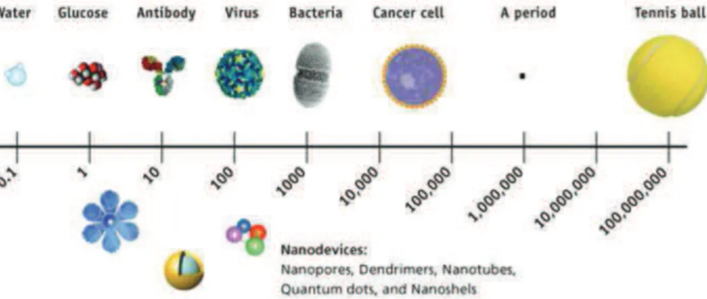 Figure 1.2: Scale comparison of the nanodevices.