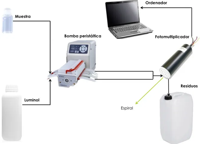 Figura 3. Representación esquemática del equipo analítico en flujo con detección por  quimioluminiscencia empleado para el desarrollo de este trabajo