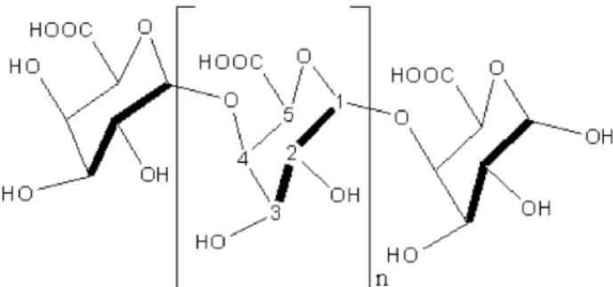 Figura 7. Estructura molecular del ácido poligalacturónico. 
