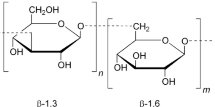 Figura 11. Estructura molecular de la laminarina. 