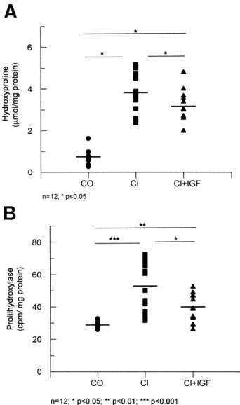 Fig. 2. (A) Liver hydroxyproline content, in the three main ex- ex-perimental groups: CO, healthy controls; CI, untreated  cir-rhotic group; CI+IGF, circir-rhotic animals treated with IGF-I.