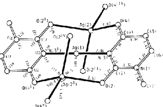 Figura 15. Estructura del complejo [Ag 2 (1-metiluracilato) 2 ]. 23