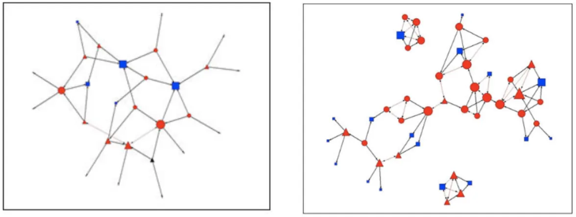 Figure  12.  The  group  networks  of  both  studies.  UCAM  group  on  the  left  and  UIB  group  on  the  right