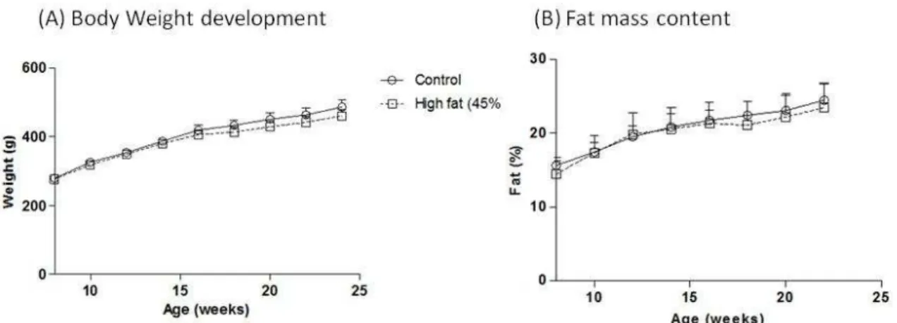 Figura  3.  Evolució  de  (A)  el  pes  corporal  en  grams  i  (B)  del  contigut  de  massa  grassa  en  percentatge  dels  grups experimentals Control i HF(45%)