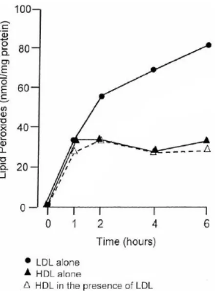 FIGURA 2. Acumulación de peróxidos lipídicos en  LDL  y  HDL  incubadas  bajo  condiciones  de  oxidación 1 