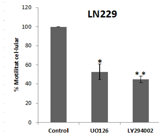 Figura 12. Modulació de la senyalització de les vies MAPK i PI3K/Akt. (A) Micrografies de contrast de  fase representatives de cèl·lules LN229  sense tractament i tractades amb 10µM de UO126 i LY294002  (d’esquerra  a  dreta)  a    0  i  24h  després  de  