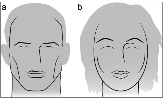 Figura 1. A. Morfología del rostro masculino. B. Morfología del rostro femenino. 