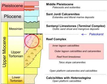 Fig. 4.  Synthetic lithostratigraphic column of the Neogene in the  Vallgornera area. The red circle and the pink-colored inset indicate  the lithofacies where the cave is developed.