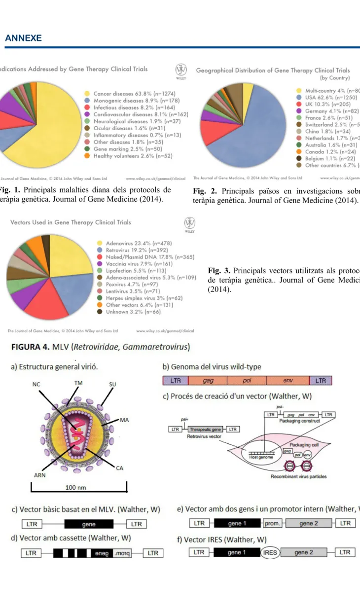 Fig.  1.  Principals  malalties  diana  dels  protocols  de 