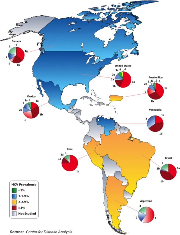 Figura 10: Mapa de la prevalencia en America del VHC y porcentajes de genotipos y subtipos  (CDA, 2014)