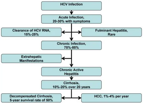 Figura  4:  Representación  gráfica  de  la  evolución  natural  de  la  infección  por  VHC  (según Chen S, Morgan T; 2006)