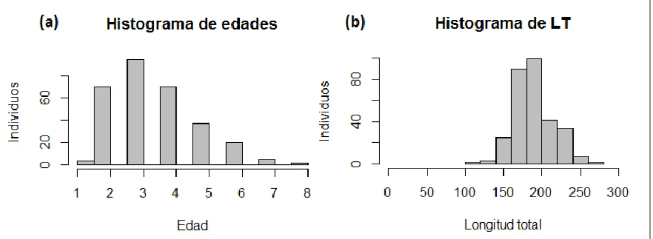 Figura 8. Distribución de la edad (años) (a) y longitud total (mm) (b) de los ejemplares muestreados