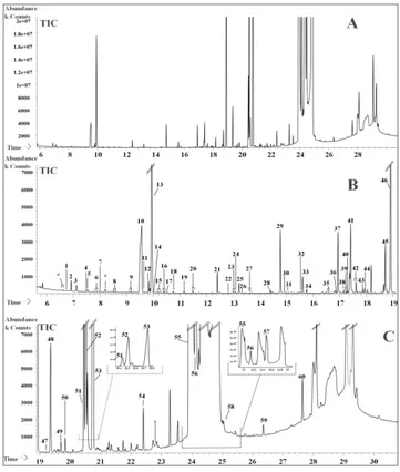 Figure 3. (A) Total Ion Chromatogram in positive mode (TIC +) and  (B) TIC (-) in negative mode, acquired by LC-MS