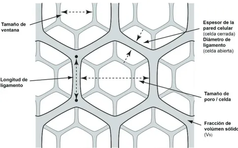 Figura 1.9. Diagrama esquemático de diferentes características estructurales y mediciones en la  mesoestructura de espumas