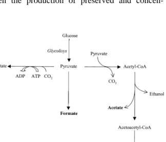 Fig. 1. Fermentation pathways due to bacterial action upon