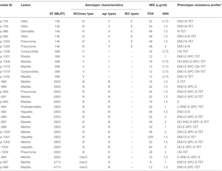 TABLE 2 | Relationship among the type of lesions and genotypic (MLST, SCCmec, agr and IEC types) and phenotypic (antibiotic profile) characteristics in the MRSA isolates.