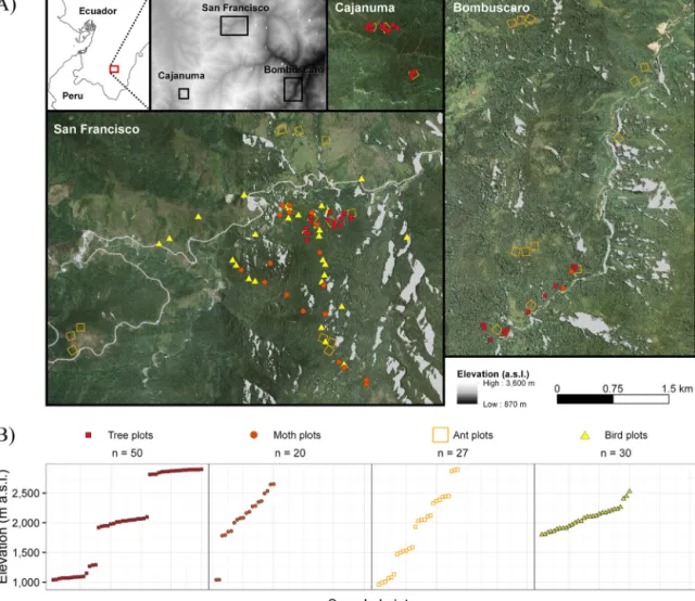 Fig. 1. A) Study sites and B) plots of all taxa sampled, covering different elevation levels and environmental gradients