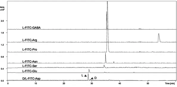 Figure 4. CE-MS EIE obtained from an orange juice sample derivatized with FITC. CE-MS separation conditions as in Fig