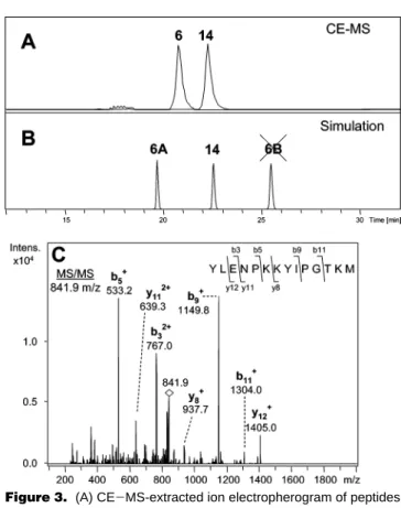 Figure 3. (A) CE - MS-extracted ion electropherogram of peptides 6 and 14; (B) simulated electropherogram of peptides 6A, 6B and 14; and (C) MS/MS spectra of peptide 6