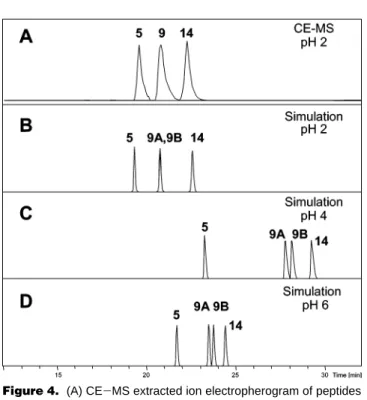 Figure 4. (A) CE - MS extracted ion electropherogram of peptides 5, 9, and 14 at pH 2 (all conditions as in Figure 1)