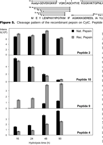 Figure 5. Cleavage pattern of the recombinant pepsin on CytC. Peptide identification number is shown to the left of each peptide.