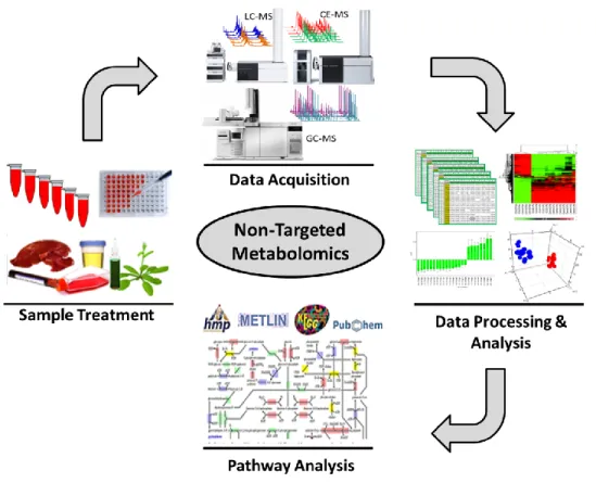 Figure  2:  General  workflow  involved  in  non-targeted  fingerprinting  approach,  from  sample  treatment  to  pathway analysis