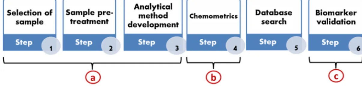 Fig. 1. Footsteps involved in non-targeted metabolomics approach. a, b, and c step has been marked in red where the validation needed to be performed in order to get effective and reliable results.