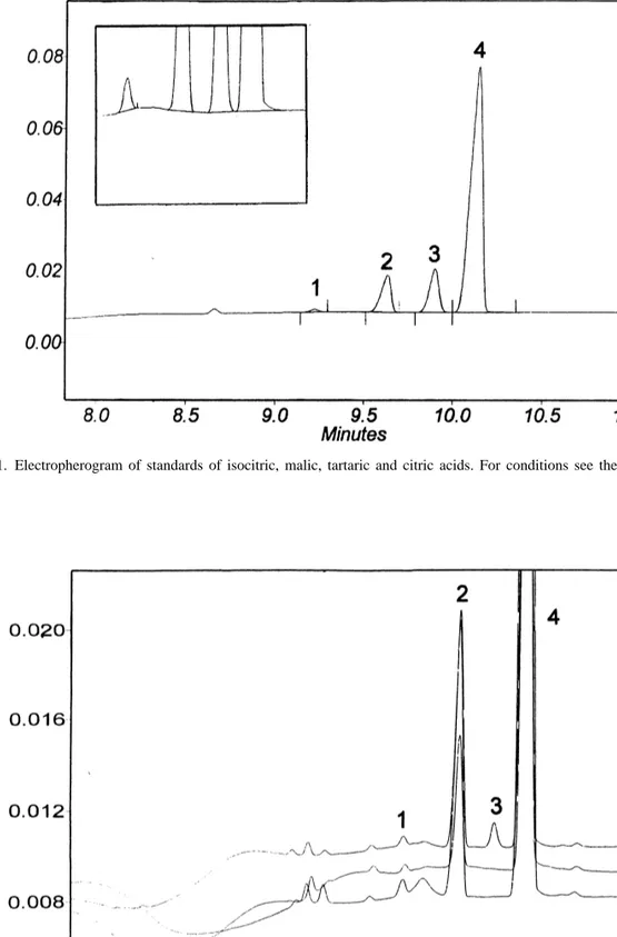 Fig. 1. Electropherogram of standards of isocitric, malic, tartaric and citric acids. For conditions see the text.