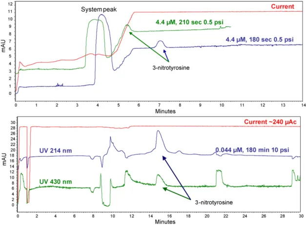 Fig. 3. Electropherograms corresponding to the maximum injection time of the less concentrated solution that can be detected both in the preconcentrator system (the bottom electropherogram at two different wavelengths) and in a equivalent open tubular capi