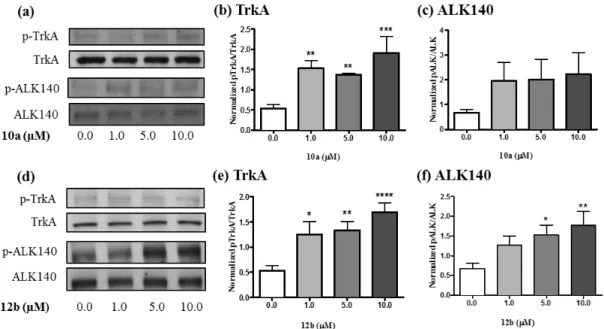 Figure  1.  (a)  Representative  western  blots  showing  10a-induced  increases  in  phosphorylated  TrkA (pTrkA) and the 140 kDa ALK isoform (pALK)
