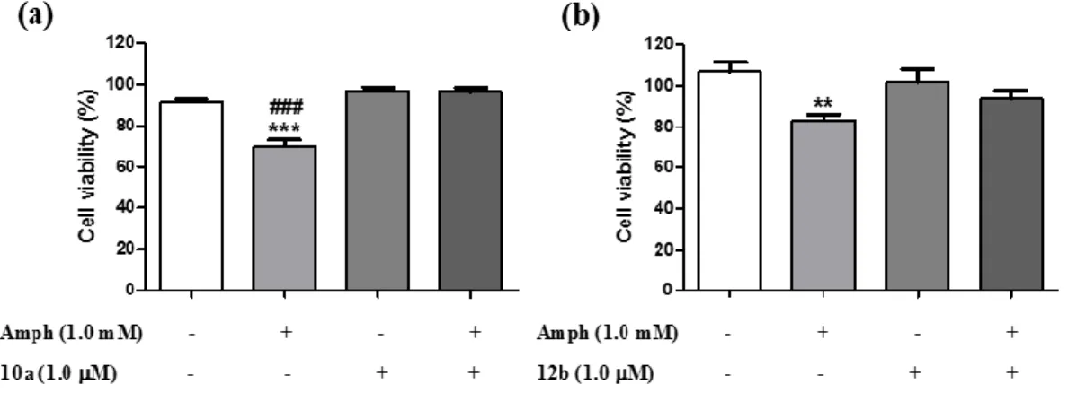 Figure  2.  Effects  of  10a  and  12b  on  amphetamine-induced  toxicity  in  PC12  cells