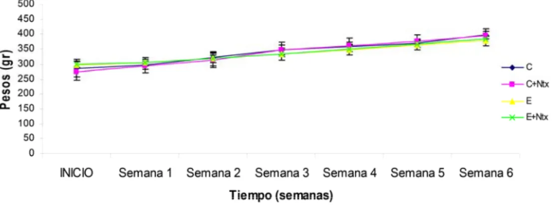 Figura 12. Evolución del peso medio de las ratas a lo largo de las 6 semanas de estudio, n=8 