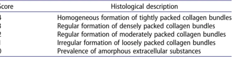 Table 2. Semi-quantitative 5-point grading scale to evaluate the packing of collagen fibres.