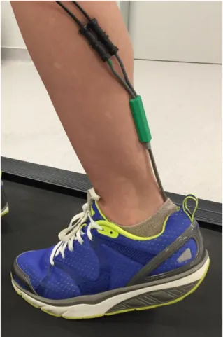 Figure 1.  Unstable test shoe used in the study (MBT, model AFIYA 5). The illustration shows  the electronic goniometer array used for assessing the ankle range of movement