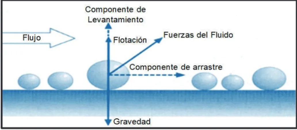 Figura 2.10.- Fuerzas que actúen en una partícula esférica dentro del flujo. 