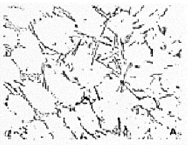 Figura  1.9. Silicio Eutéctico Acicular. 