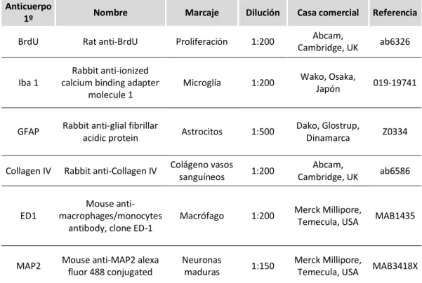 Tabla  3.  Lista  de  anticuerpos  primarios  utilizados  para  técnicas  de  inmunohistoquímica