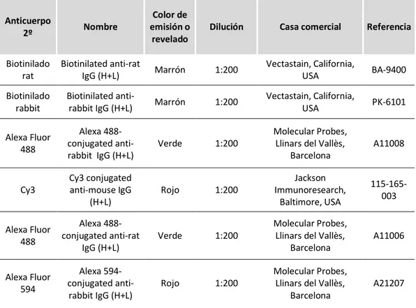 Tabla 4.  Lista  de  anticuerpos  secundarios  utilizados  para  técnicas  de  inmunohistoquímica