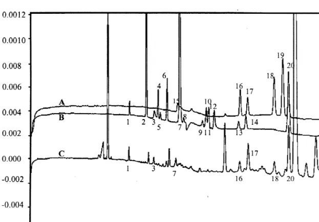 Fig. 2. Electropherogram from: (A) standard mixture I; (B) standard mixture II; (C) urine extract