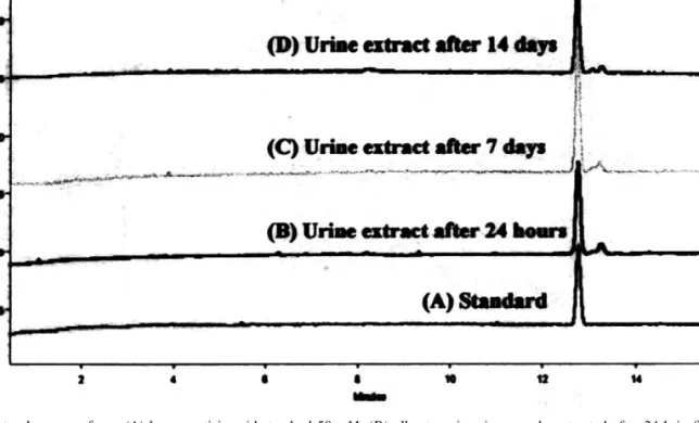 Fig. 3. Electropherogram from: (A) homogentisic acid standard 50 mM; (B) alkaptonuria urine sample extracted after 24 h in filter paper;