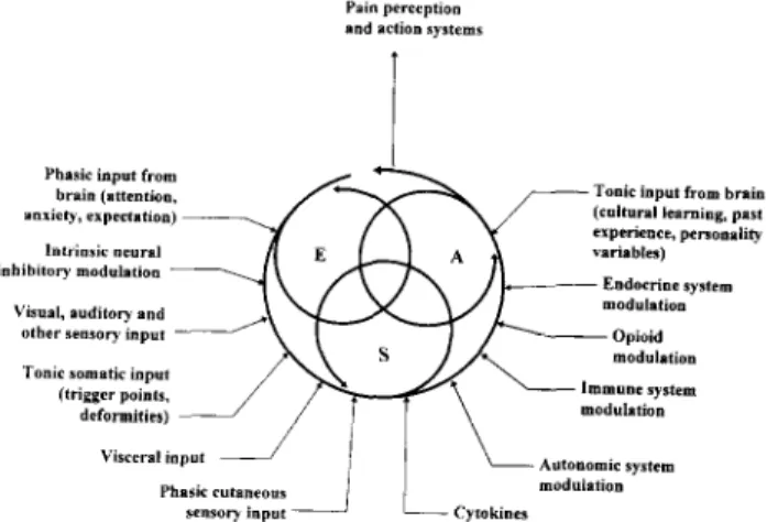 Fig.  2.  The  body-self  nemomatrix.  The  body-self  neuromatrix,  which  comprises  a widely  distributed  neural  network  that  includes  somatosensory,  limbic