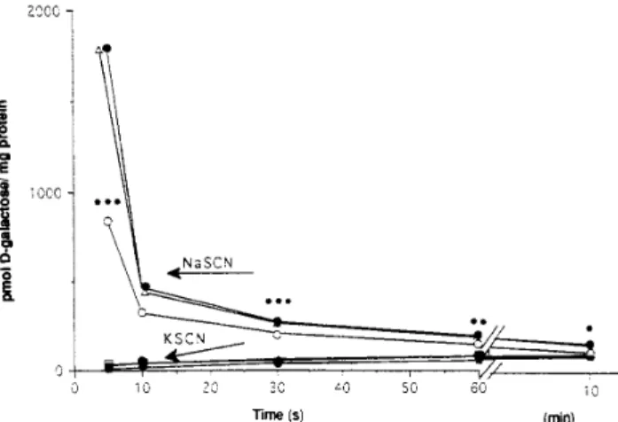 Figure 1. Time course of D -galactose uptake into BBMVs with (in the presence of NaSCN) or without (in the presence of KSCN) N / gradient.