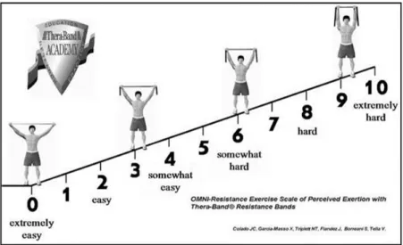 Figura 5. Escala OMNI‐RES para bandas elásticas para facilitar el control de la intensidad (Colado et al., 2012). 